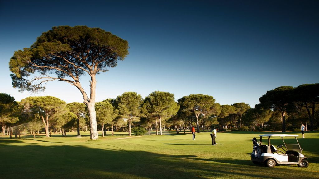 Robinson Nobilis Golf Club 3 Robinson Nobilis 1